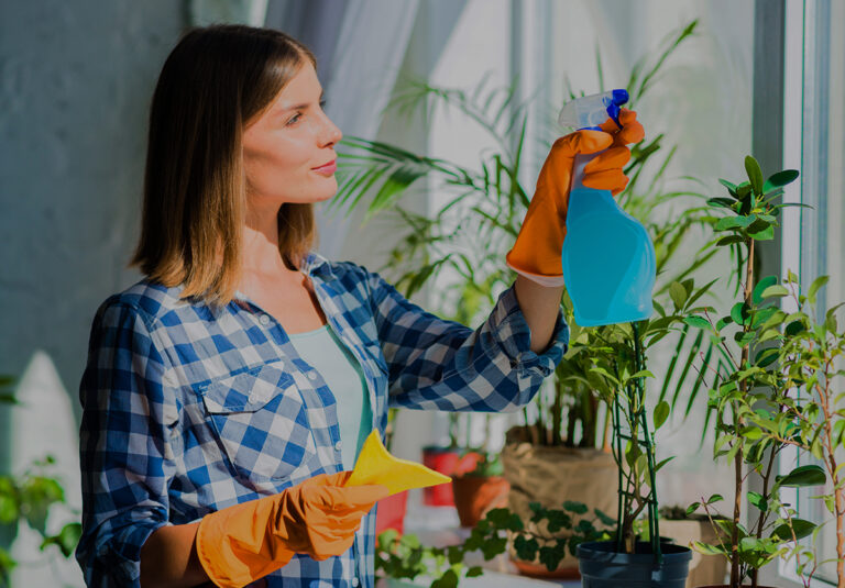 Why Hygiene and Pest Control Are Crucial for Business Environments